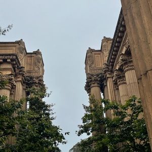 Meet your Posher, Trinity